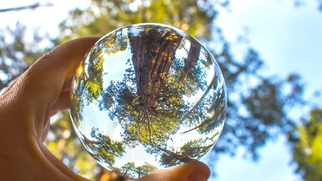Biogás e crédito de carbono: o que o setor produtivo precisa entender agora para não perder oportunidades